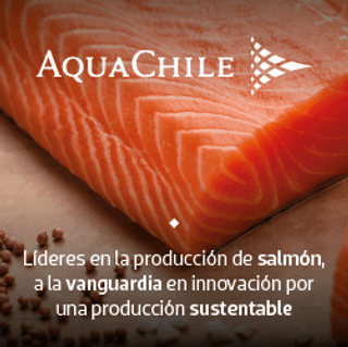 AQUA CHILE 250x250 AQUA CHILE 250x250