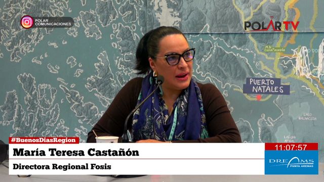 fosismagallanes