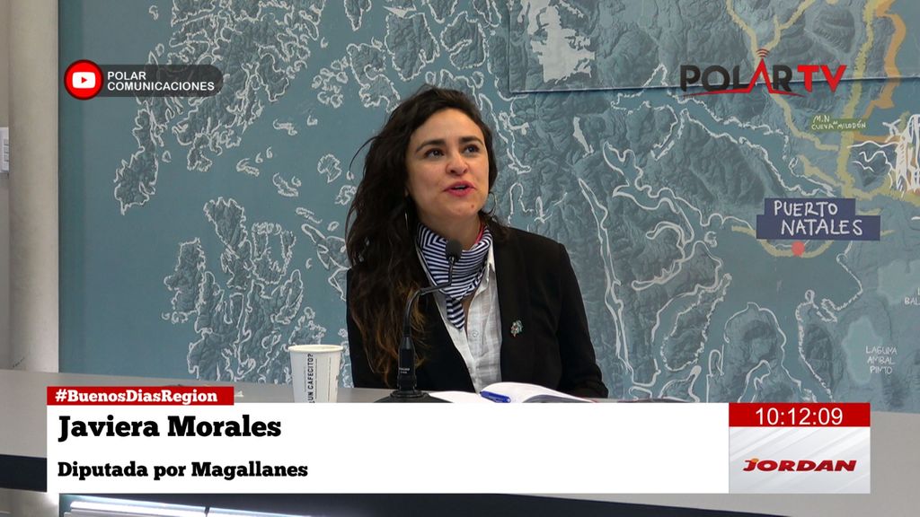 javieramoralesdiputada javieramoralesdiputada