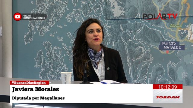 javieramoralesdiputada javieramoralesdiputada