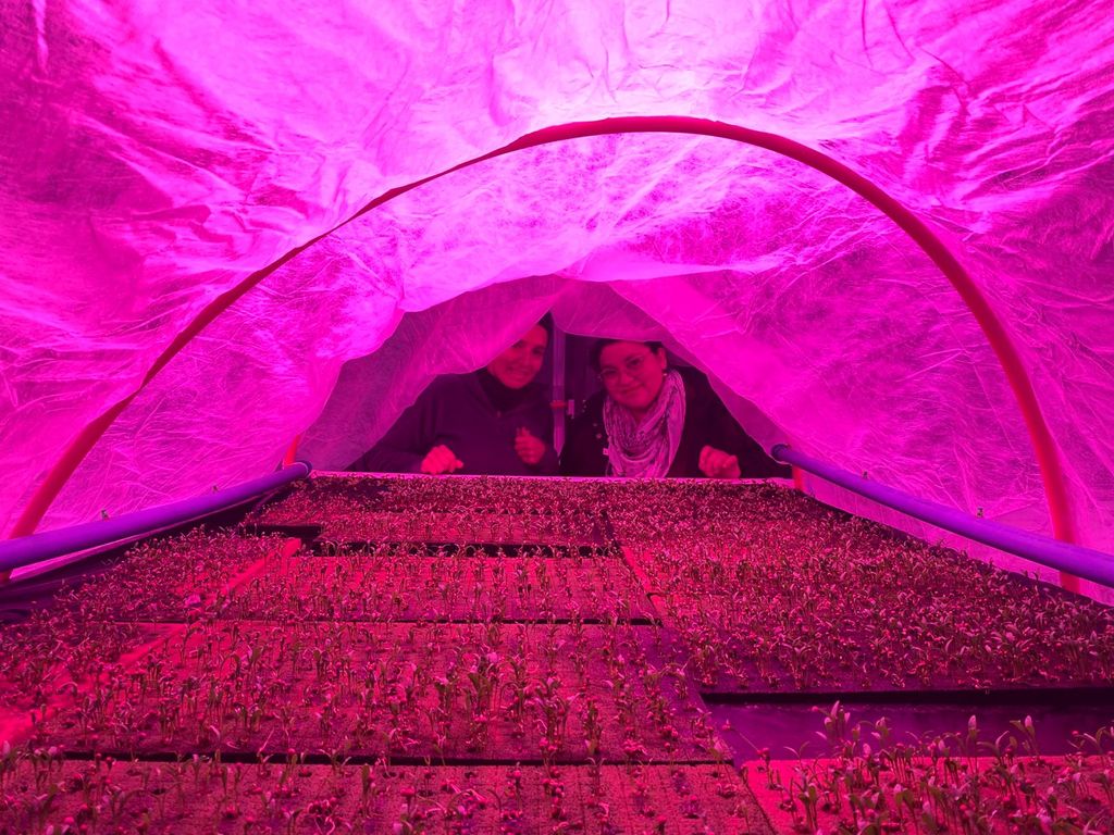 fiacorfomagallanes fiacorfomagallanes