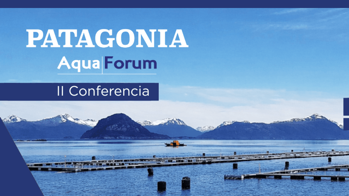 AQUAFORUM PATAGONIA 2026 ANTICIPA AGENDA CLAVE PARA EL FUTURO DE LA INDUSTRIA EN MAGALLANES