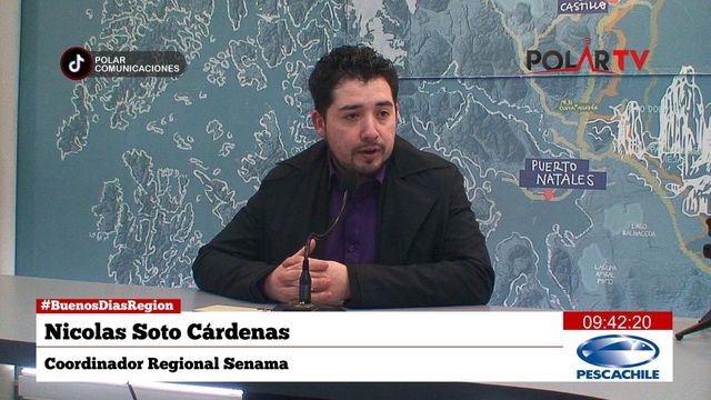 coordinadorsenama