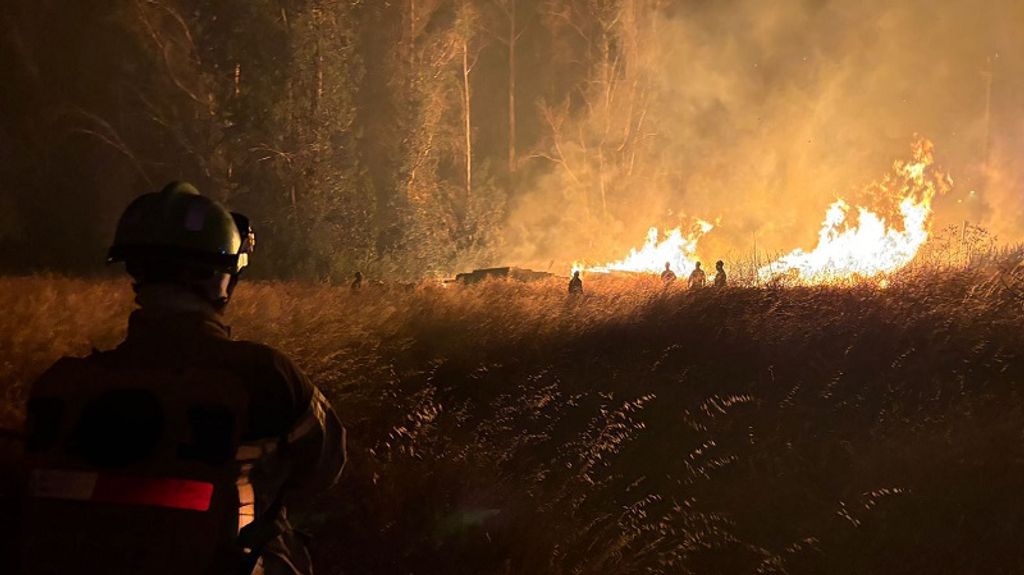 file_20250213124212 file_20250213124212