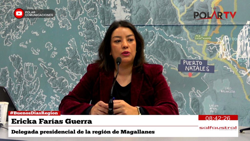 delegadamagallanes delegadamagallanes