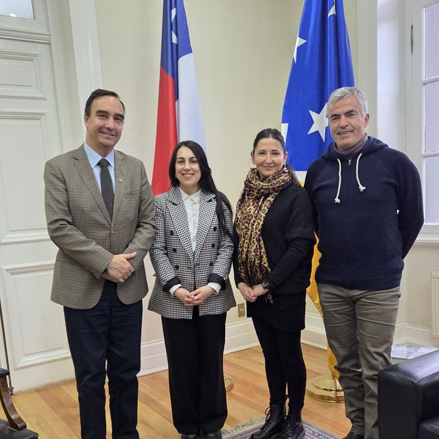 austrochilegobernador austrochilegobernador