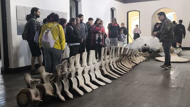 Faro san isidro día de los patrimonios en verano