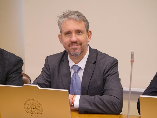 diputadoriquelme