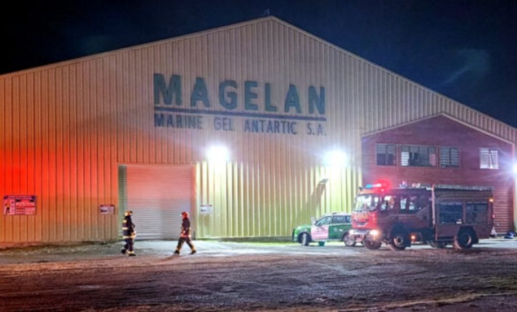 algas porv algas porv