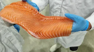 salmonpigmentacion salmonpigmentacion