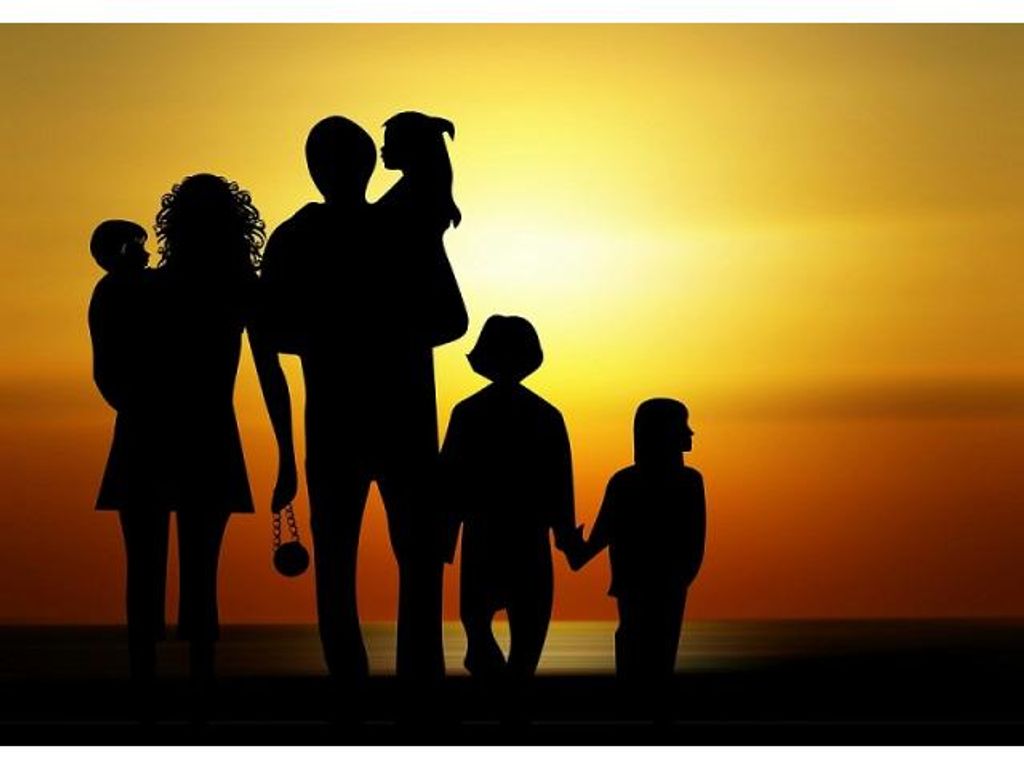 LOS CAMBIOS Y DESAFÍOS DE LA FAMILIA ACTUAL