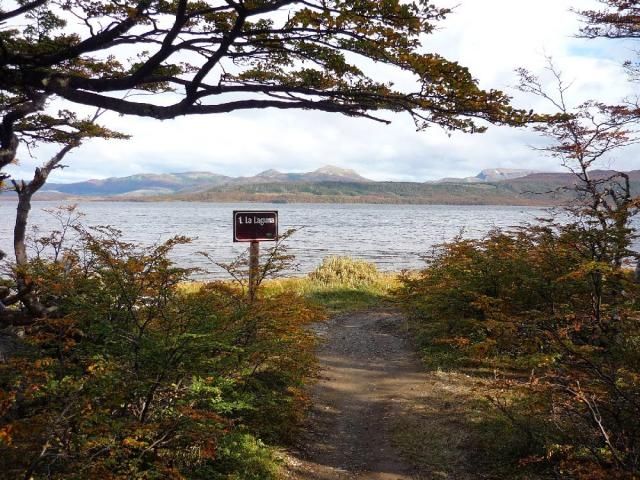 CONAF INFORMA CIERRE DE ÁREA DE ACAMPAR EN RESERVA NACIONAL LAGUNA PARRILLAR CONAF INFORMA CIERRE DE ÁREA DE ACAMPAR EN RESERVA NACIONAL LAGUNA PARRILLAR