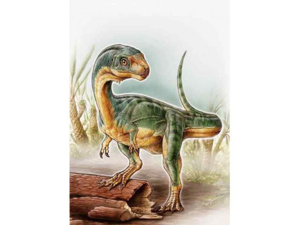 DESCUBREN EN PATAGONIA A UNO DE LOS DINOSAURIOS MÁS EXTRAÑOS DEL MUNDO
