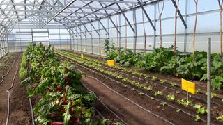 riego invernaderos ok