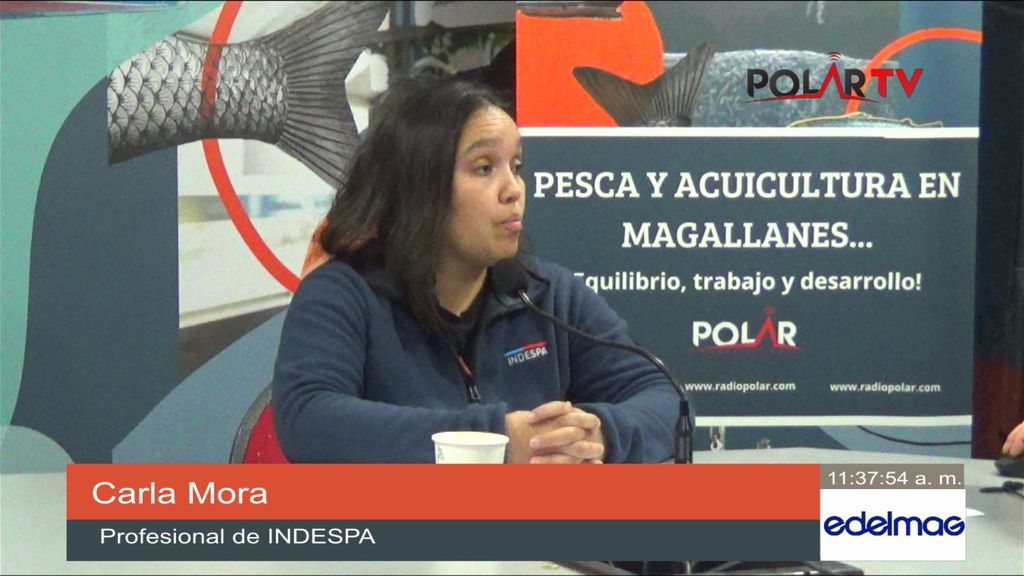 cmoraindespa cmoraindespa