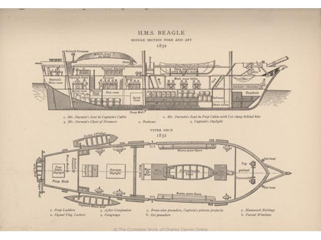 DIGITALIZAN LOS LIBROS QUE DARWIN LLEVÓ A BORDO DEL HMS BEAGLE