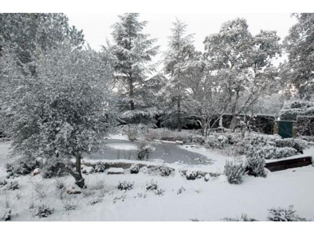 LA NIEVE NO ES BLANCA LA NIEVE NO ES BLANCA