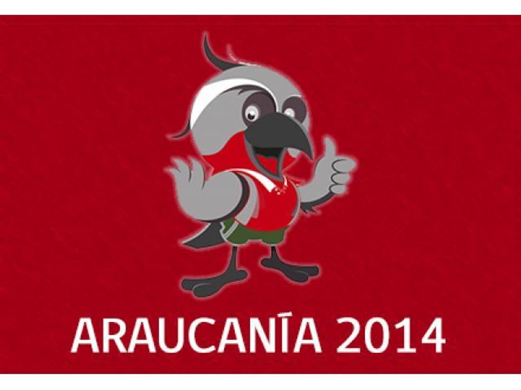 XXIII JUEGOS BINACIONALES DE LA ARAUCANÍA 2014
