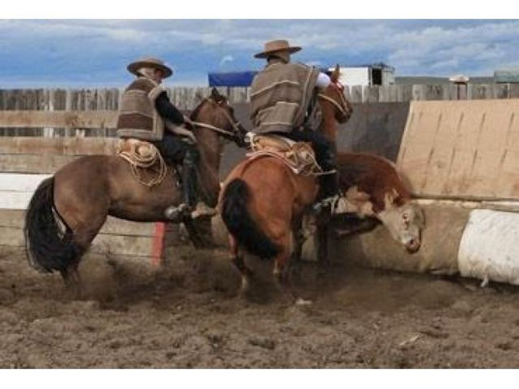 FALLECIDO  EN ACCIDENTE DE RÍO SECO  ERA  DESTACADO SOCIO DEL CLUB DE RODEO PUNTA ARENAS