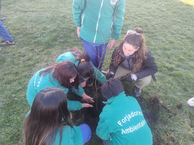 plantacionabedules plantacionabedules