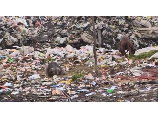 EN EL VERTEDERO MUNICIPAL SE CENTRA BÚSQUEDA DE MUJER DESAPARECIDA EN EL VERTEDERO MUNICIPAL SE CENTRA BÚSQUEDA DE MUJER DESAPARECIDA