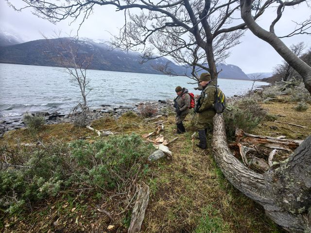 yendegaiacarabineros yendegaiacarabineros