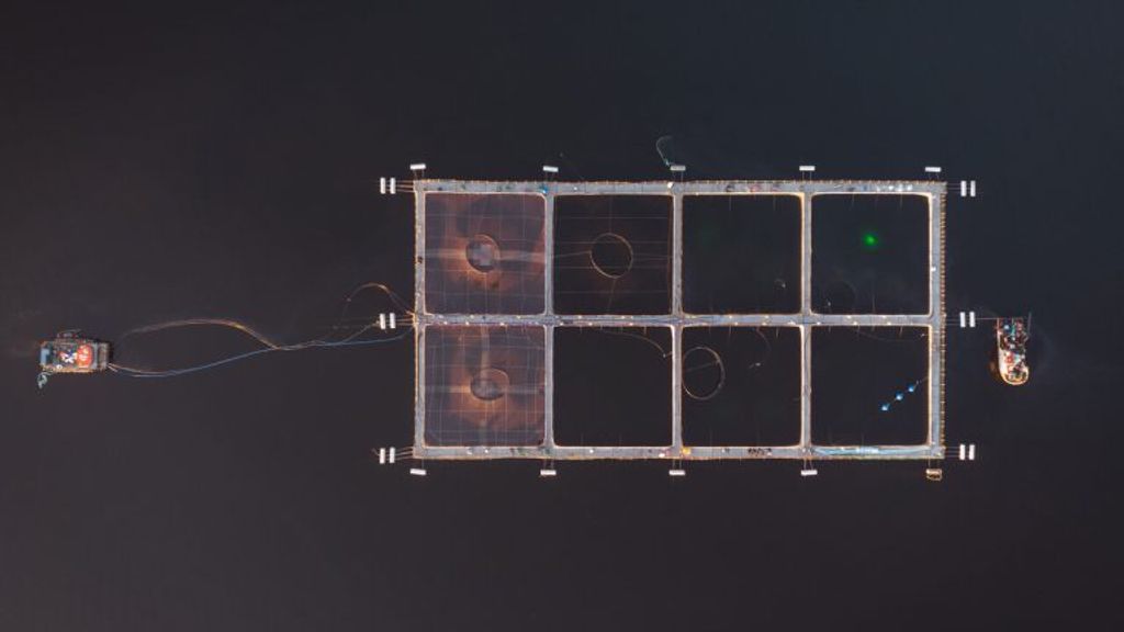 salmonera-e1733412150863-768x433 salmonera-e1733412150863-768x433