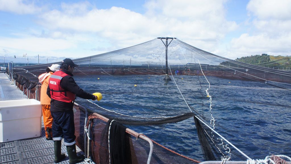 empleosAQUA empleosAQUA