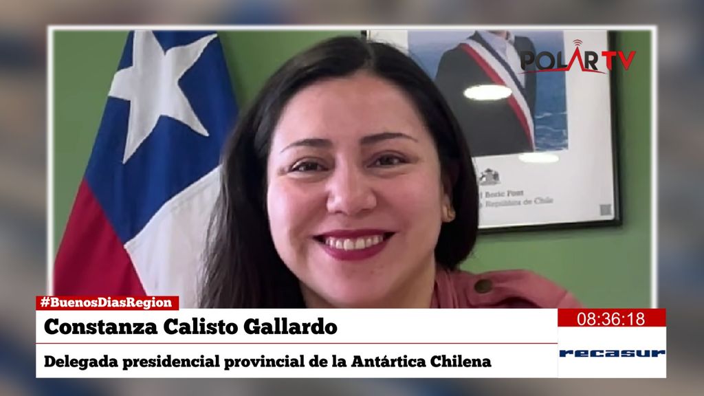 dppconstanzacalisto dppconstanzacalisto