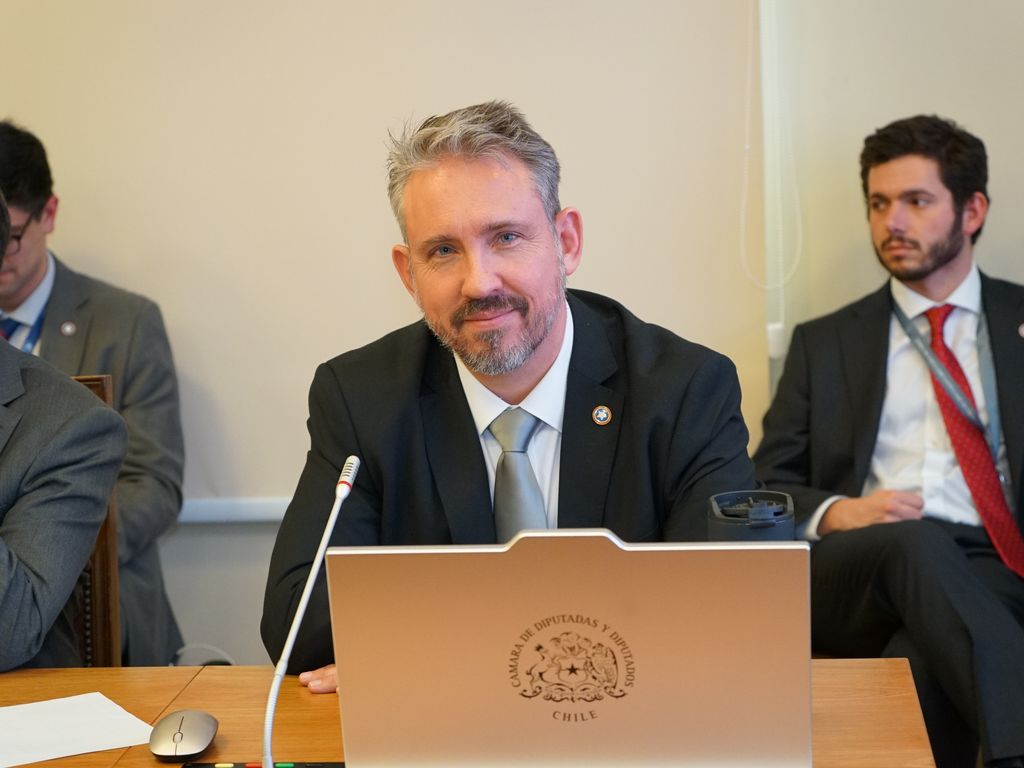 diputadoriquelme diputadoriquelme