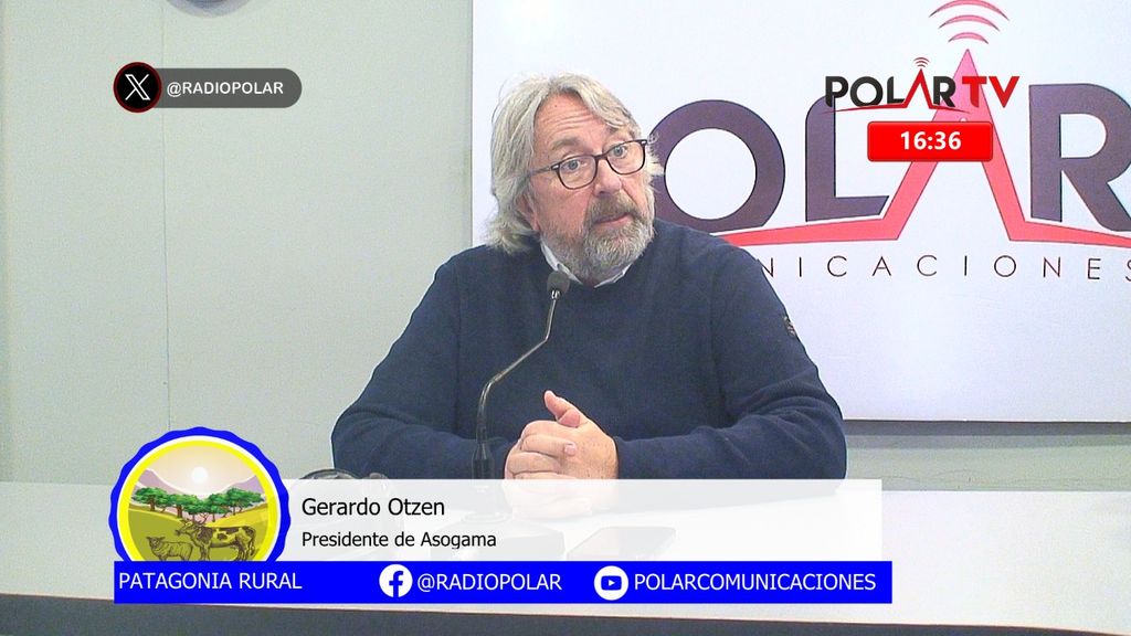 Imagen de WhatsApp 2024-08-16 a las 16 Imagen de WhatsApp 2024-08-16 a las 16