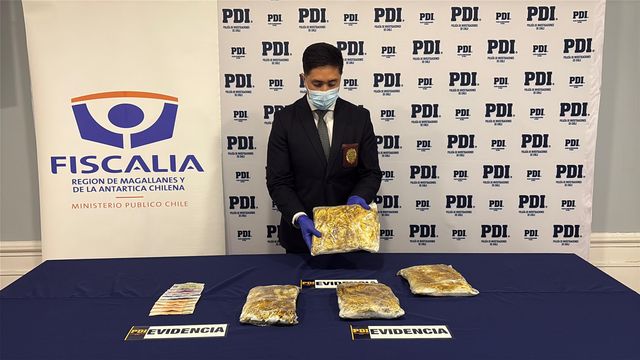 pdicocainapuq pdicocainapuq