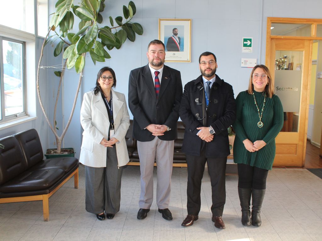 dppdirnatales dppdirnatales