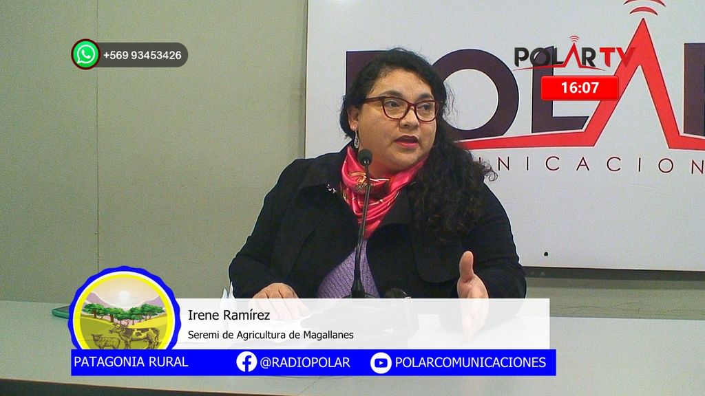 Imagen de WhatsApp 2024-06-07 a las 16 Imagen de WhatsApp 2024-06-07 a las 16