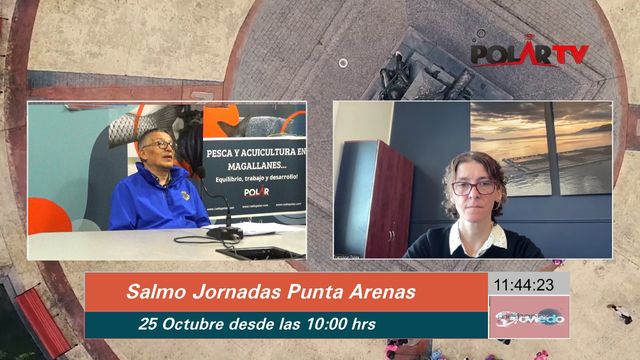 salmonjornadas salmonjornadas