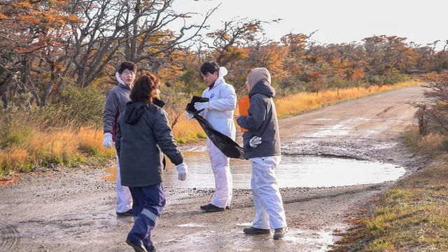 LIMPIEZA DE PARQUE CHABUNCO (6)