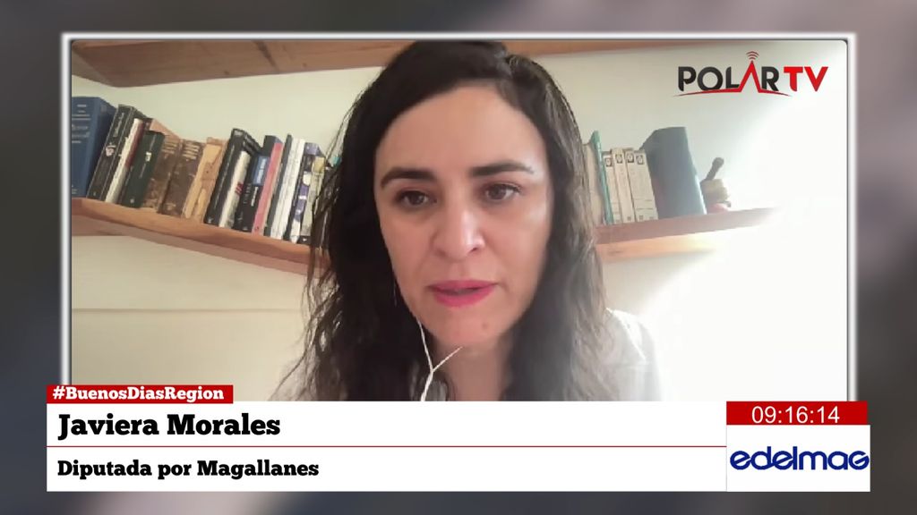 diputadamorales diputadamorales