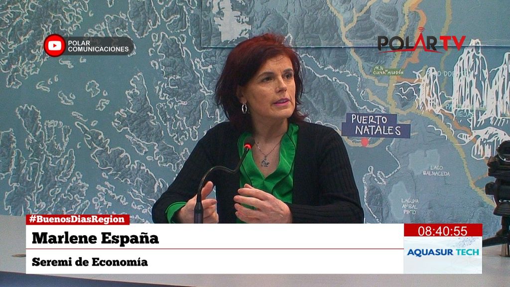 seremieconomiamagallanes seremieconomiamagallanes