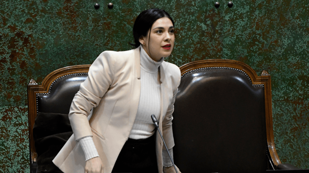 carioladiputada carioladiputada