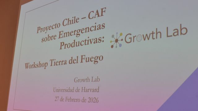 harvard tierra del fuego