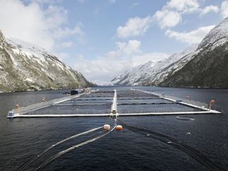 NovaAustral_RS NovaAustral_RS