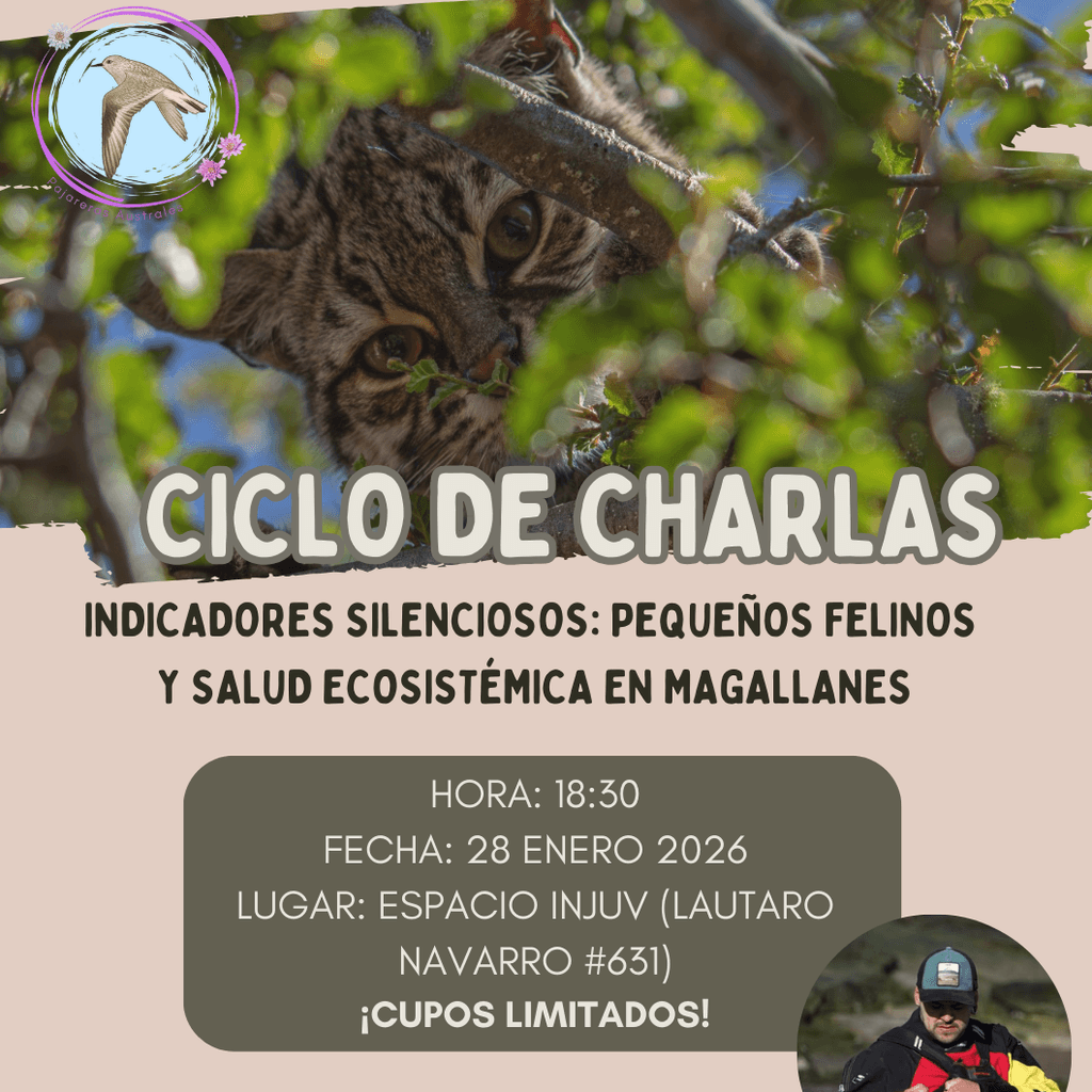 primera salida (1) primera salida (1)