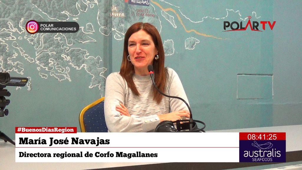 corfomagallanes corfomagallanes