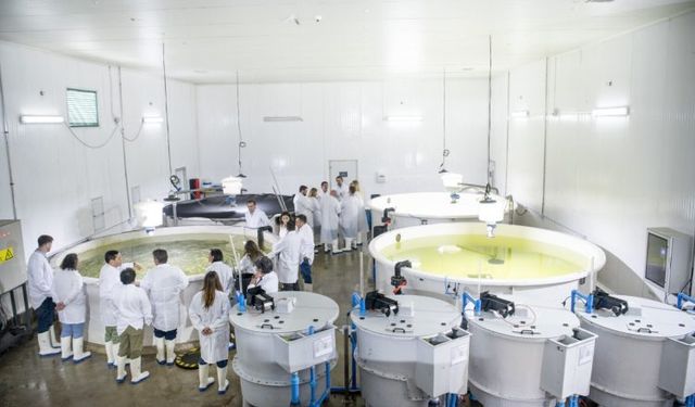 Salmonicultura Salmonicultura