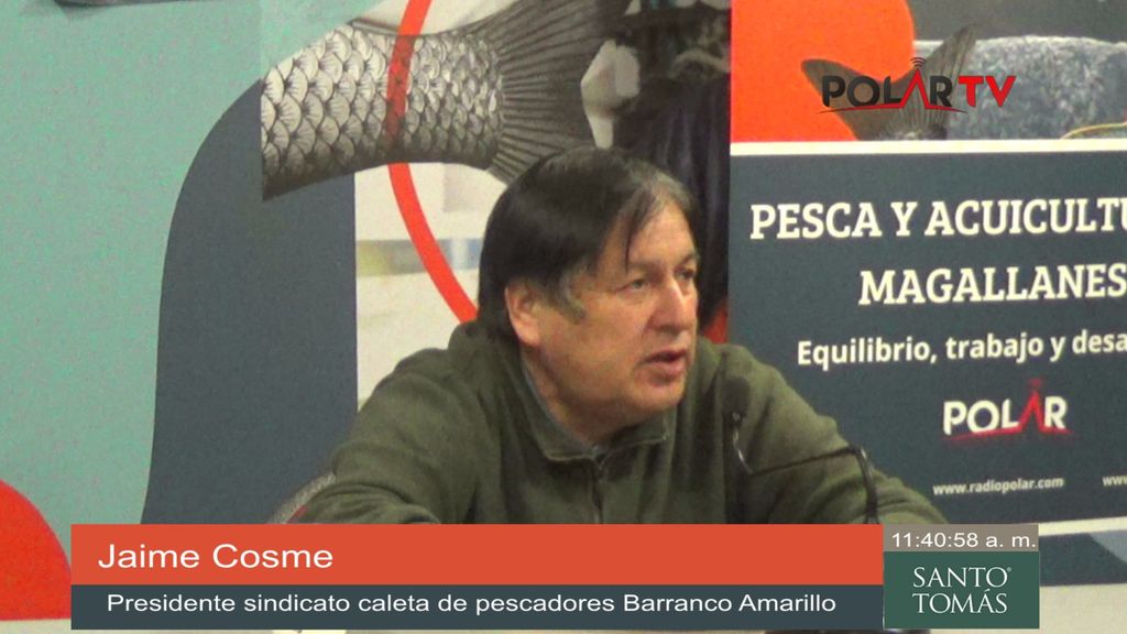 jaimecosme jaimecosme