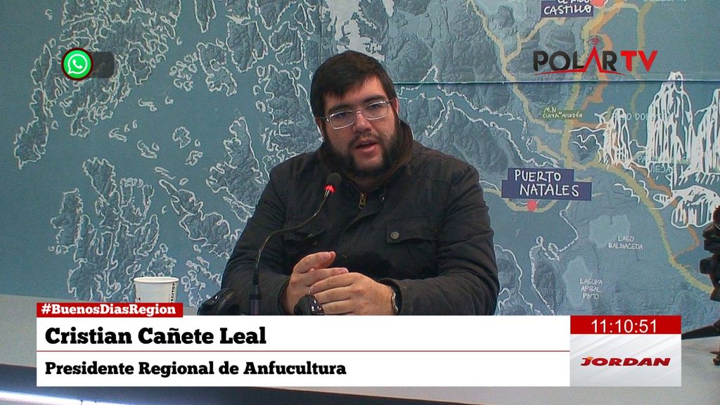 anfuculturamagallanes anfuculturamagallanes