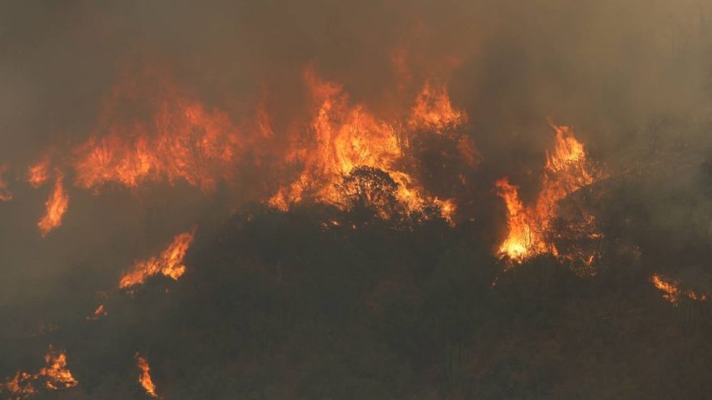 12-173636_6179_Incendios-forestales-1-880x500 12-173636_6179_Incendios-forestales-1-880x500