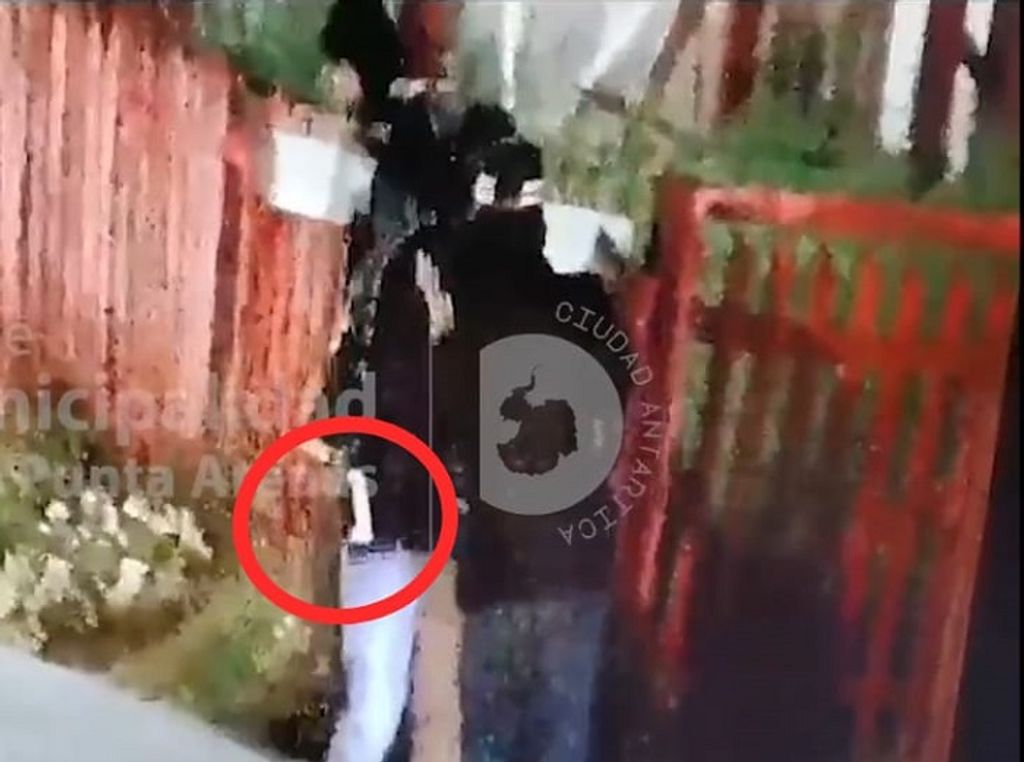 ARMA BLANCA (2) ARMA BLANCA (2)