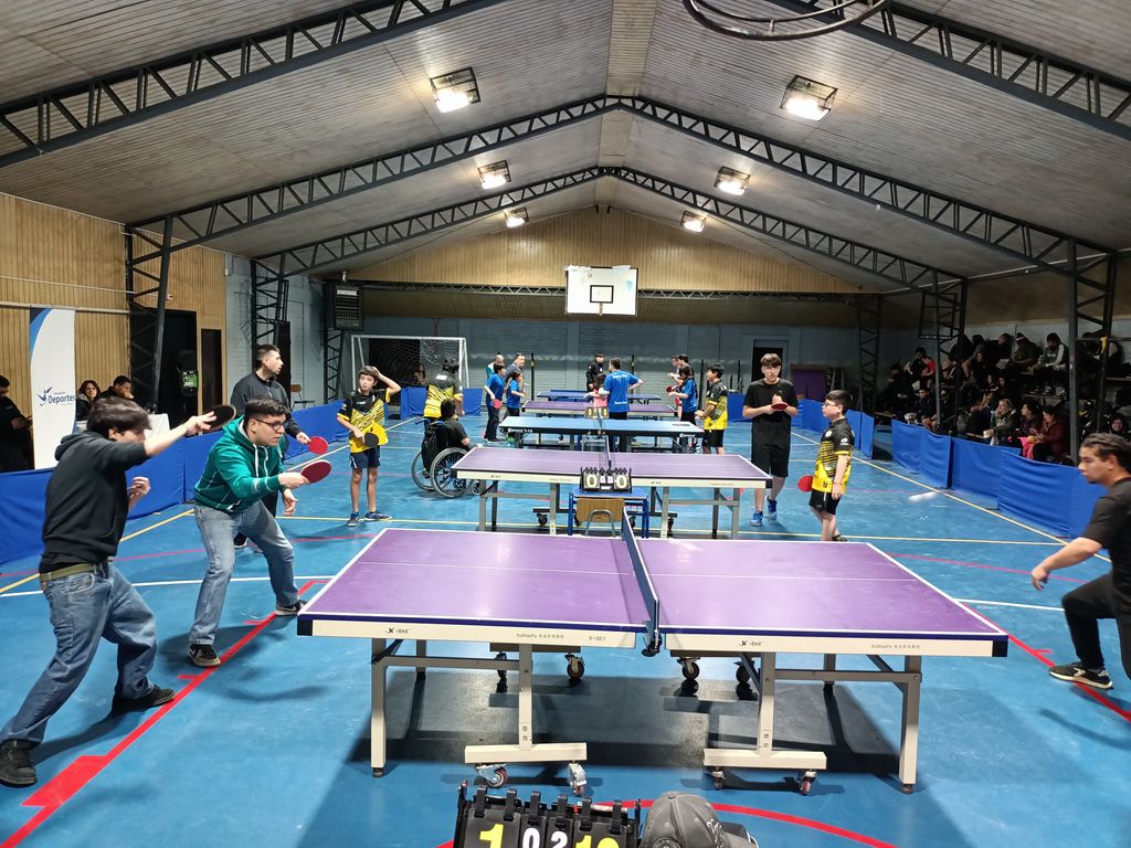 tenisdemesa tenisdemesa