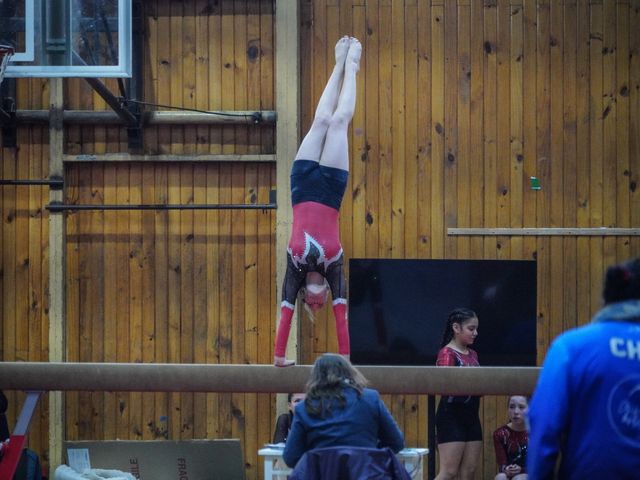 CAMPEONATO MUNICIPAL DE GIMNASIA ARTÍSTICA (2) CAMPEONATO MUNICIPAL DE GIMNASIA ARTÍSTICA (2)